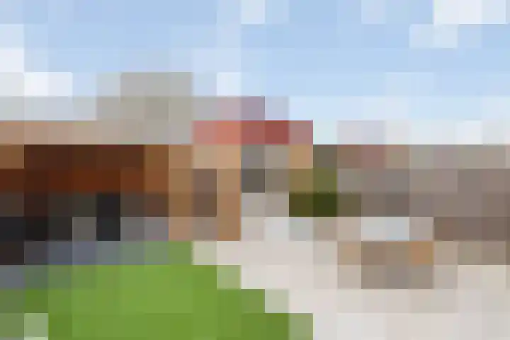 Fuut 1 Raalte thumbnail 31