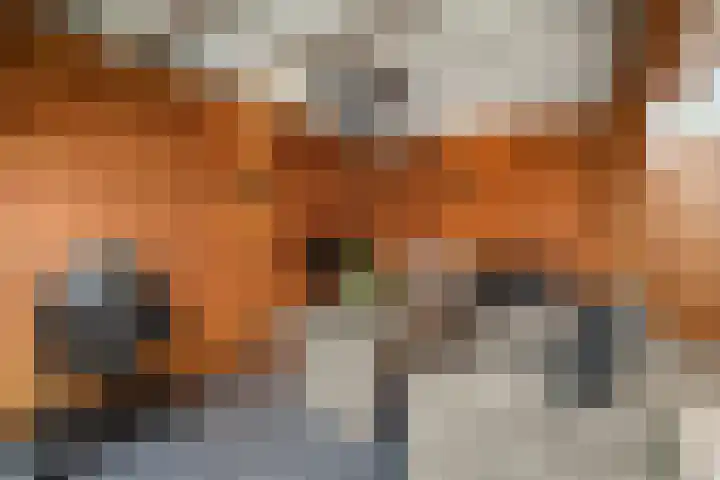 Fuut 1 Raalte thumbnail 33