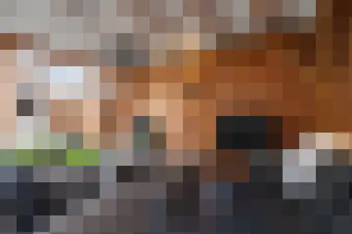 Fuut 1 Raalte thumbnail 34