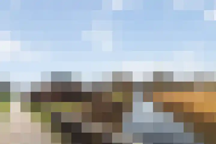 Fuut 1 Raalte thumbnail 36
