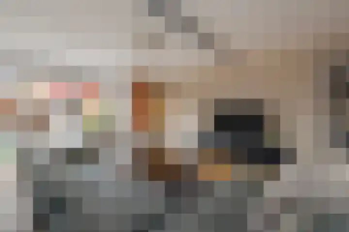 Fuut 1 Raalte thumbnail 4