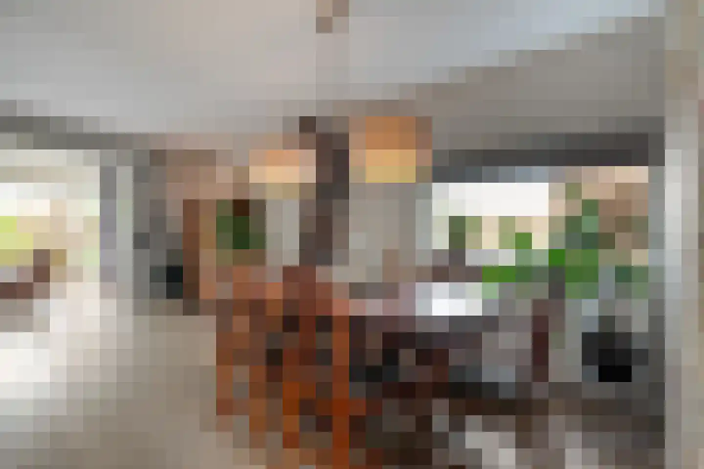 Fuut 11 Raalte thumbnail 18
