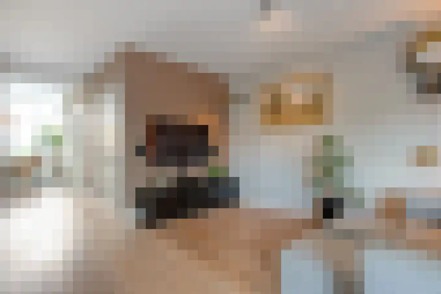Fuut 11 Raalte thumbnail 23