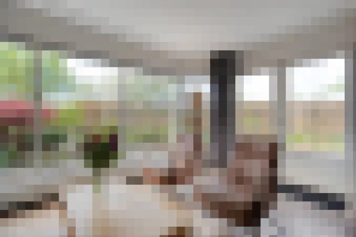 Fuut 11 Raalte thumbnail 25