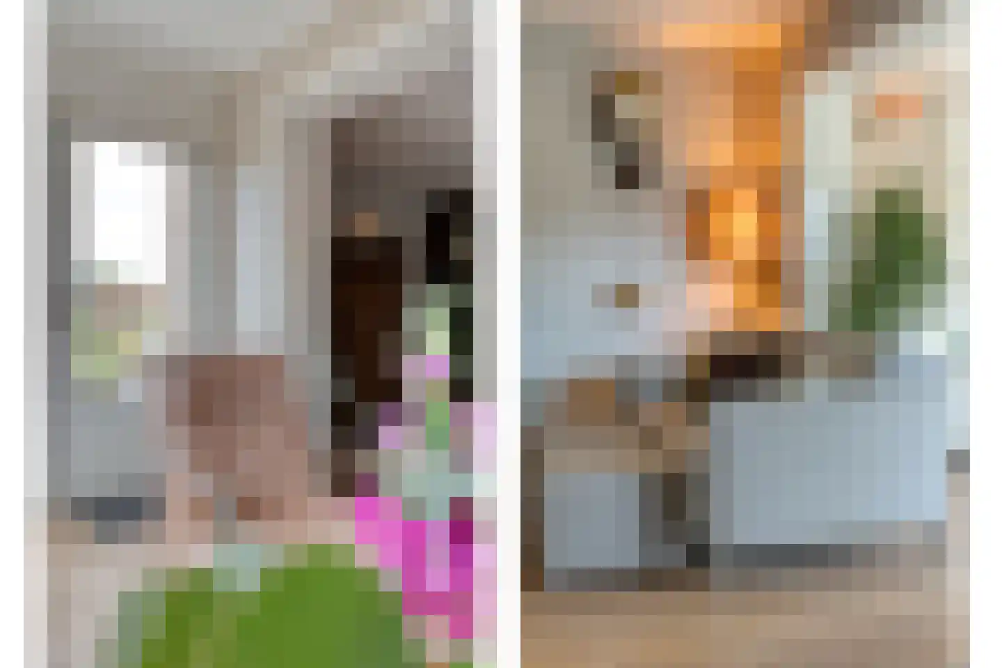 Fuut 11 Raalte thumbnail 28