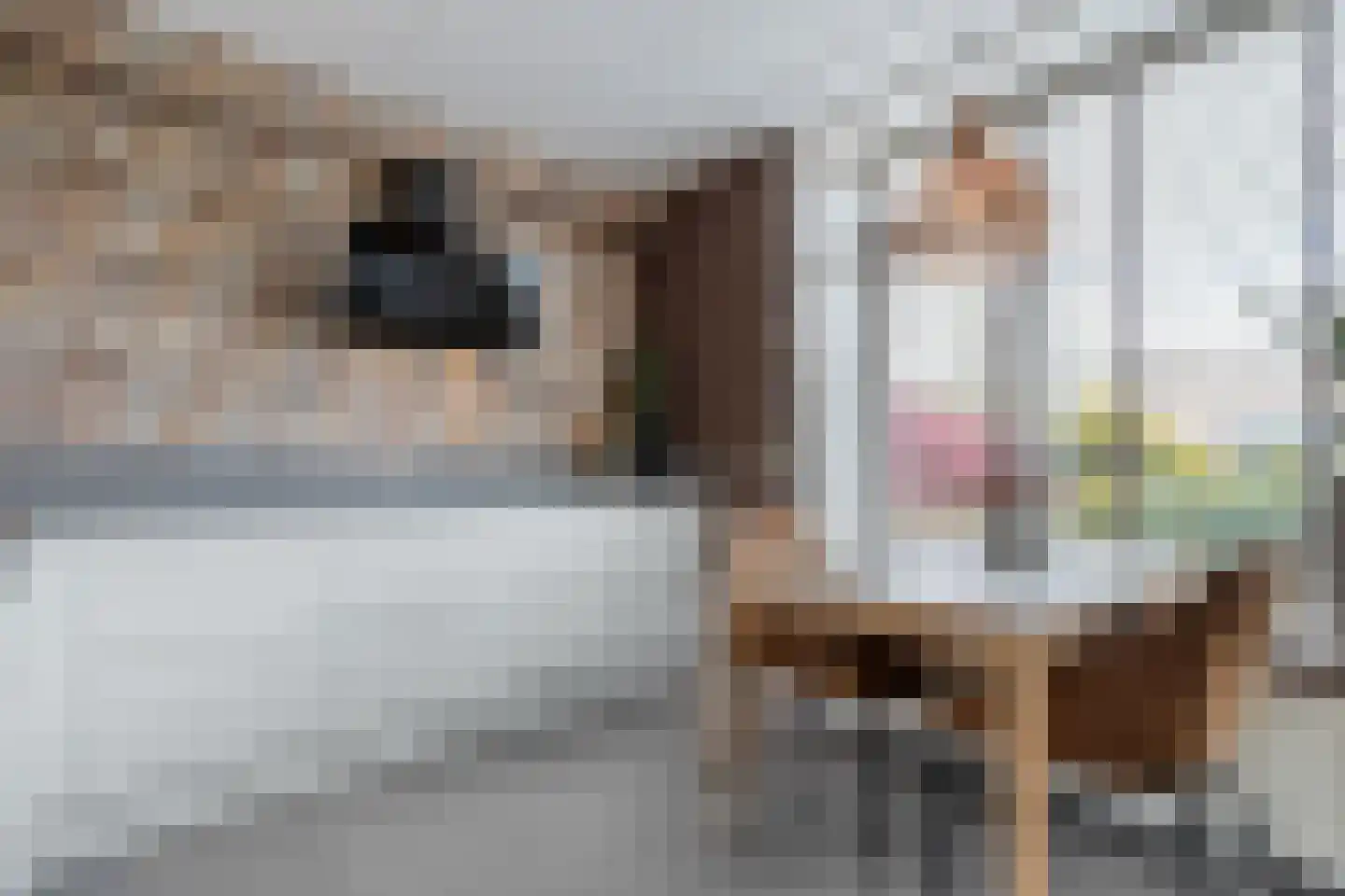 Fuut 11 Raalte thumbnail 29
