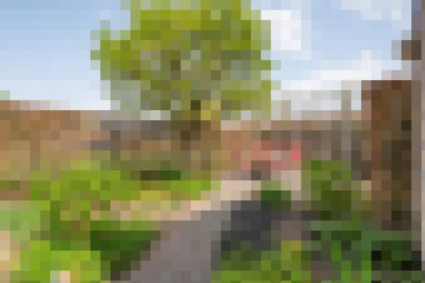 Fuut 11 Raalte thumbnail 47