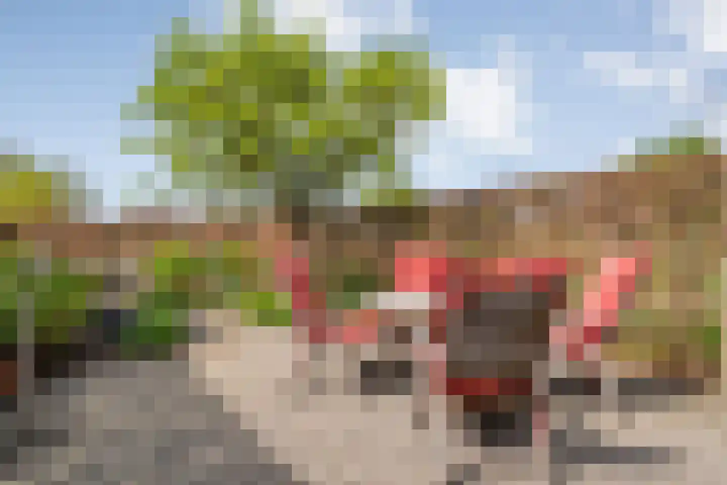 Fuut 11 Raalte thumbnail 49