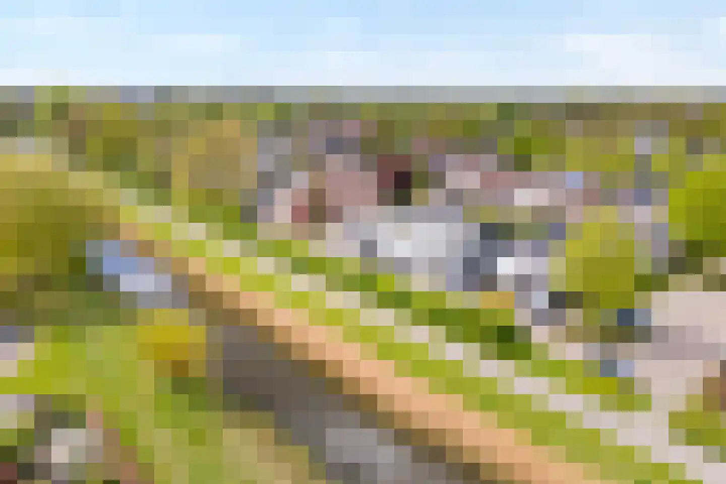 Fuut 11 Raalte thumbnail 5