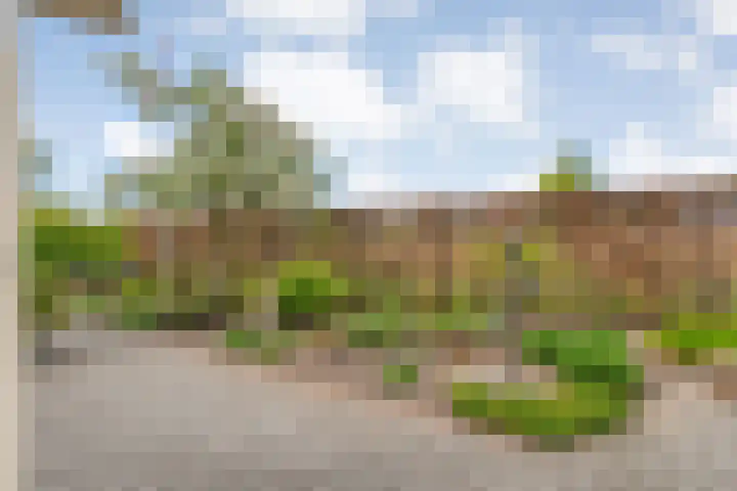 Fuut 11 Raalte thumbnail 55