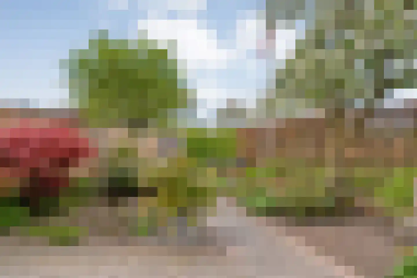 Fuut 11 Raalte thumbnail 56