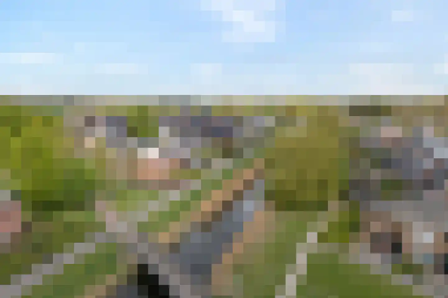 Fuut 11 Raalte thumbnail 6