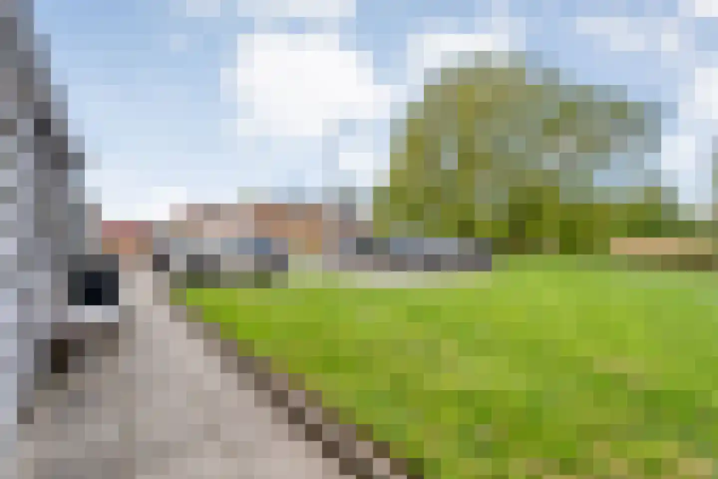 Fuut 11 Raalte thumbnail 60