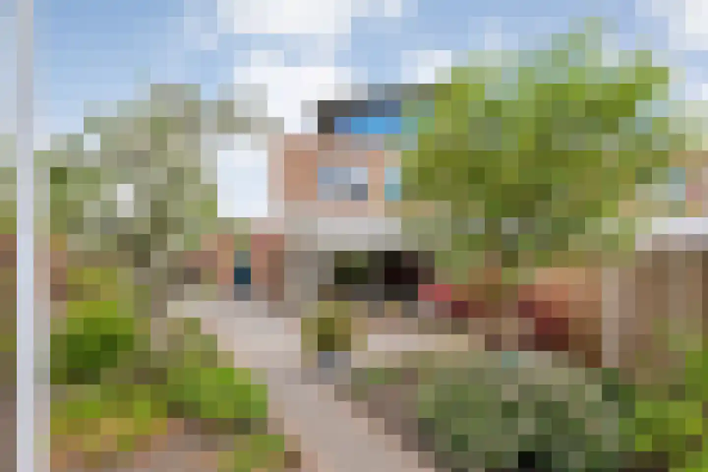 Fuut 11 Raalte thumbnail 61