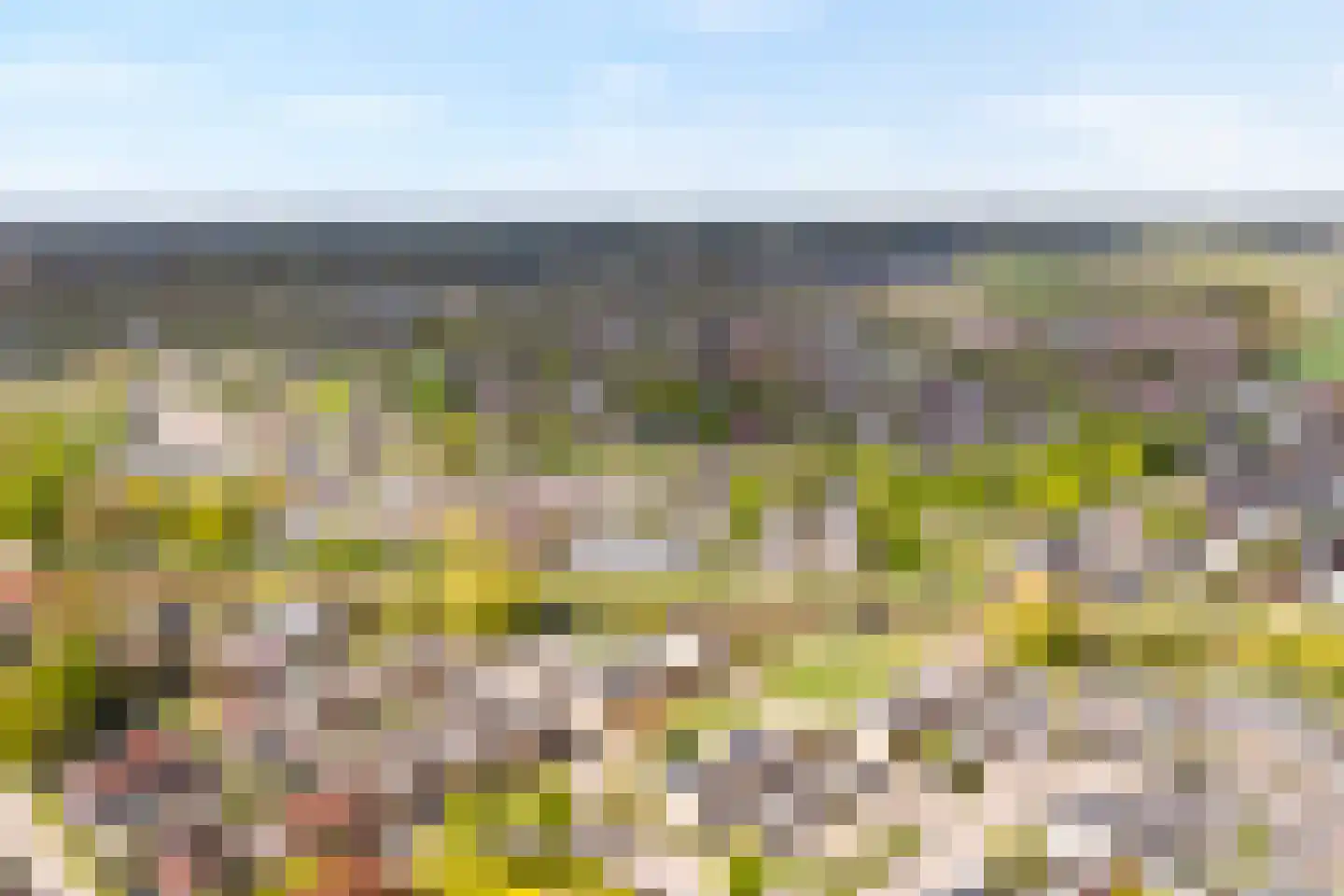 Fuut 11 Raalte thumbnail 64