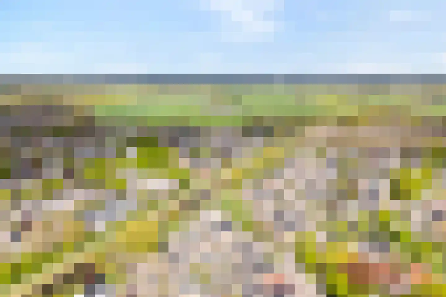 Fuut 11 Raalte thumbnail 65
