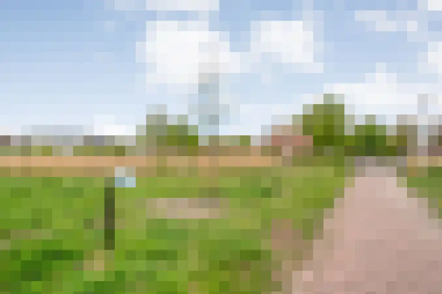 Fuut 11 Raalte thumbnail 9