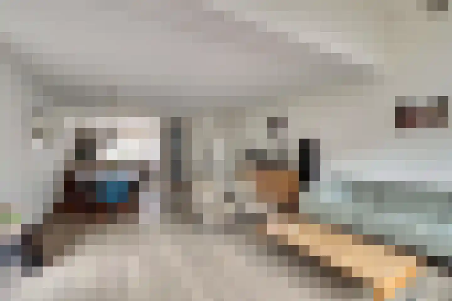 Fuut 12 Kockengen thumbnail 9