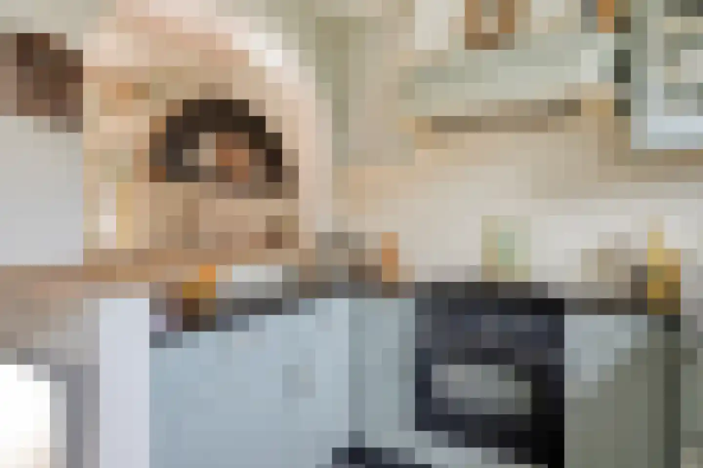 Fuut 12 Schagen thumbnail 20