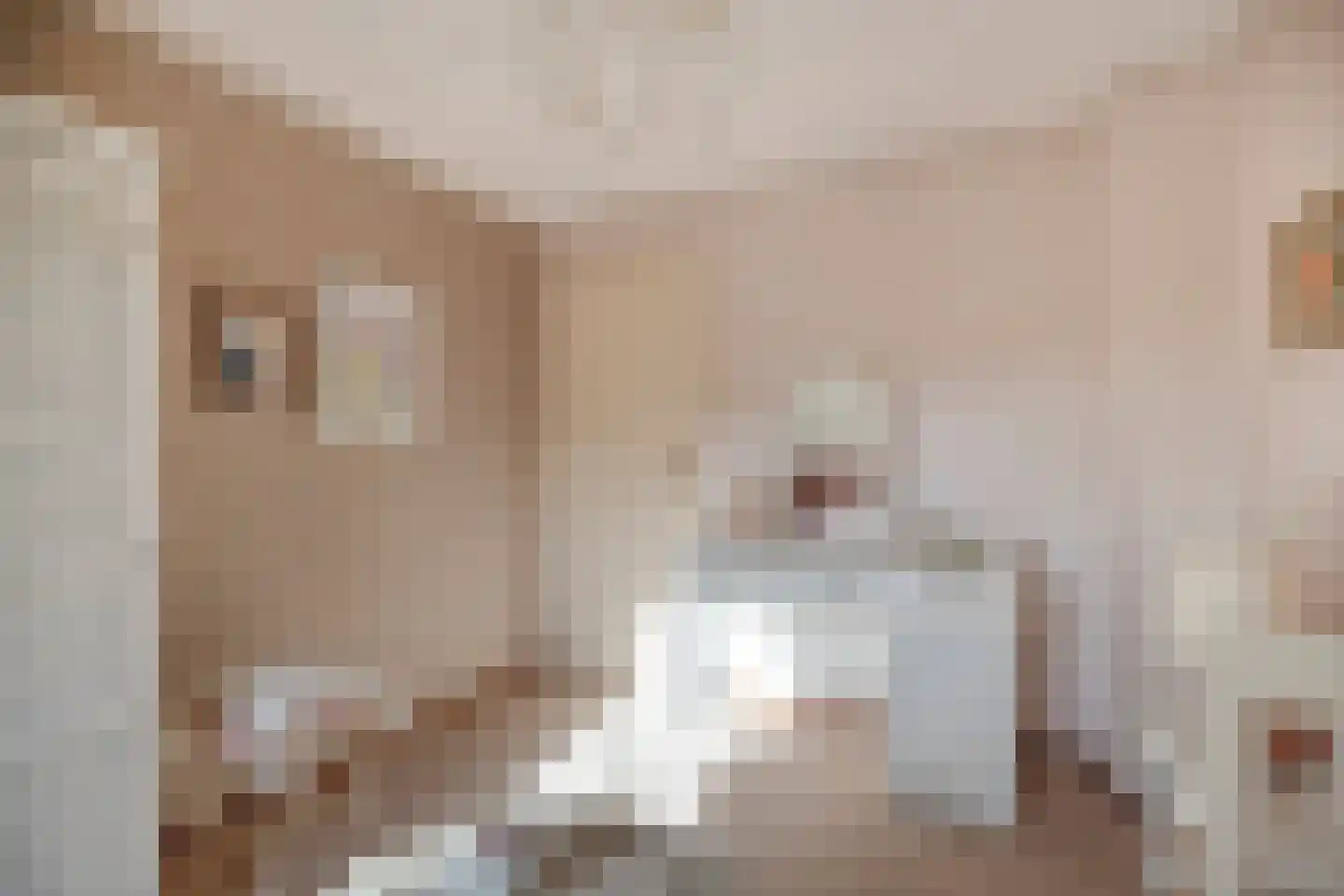Fuut 12 Schagen thumbnail 33
