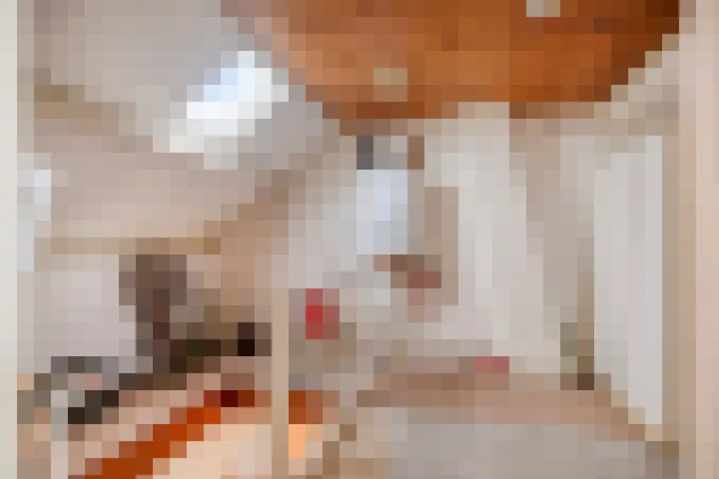 Fuut 12 Schagen thumbnail 34