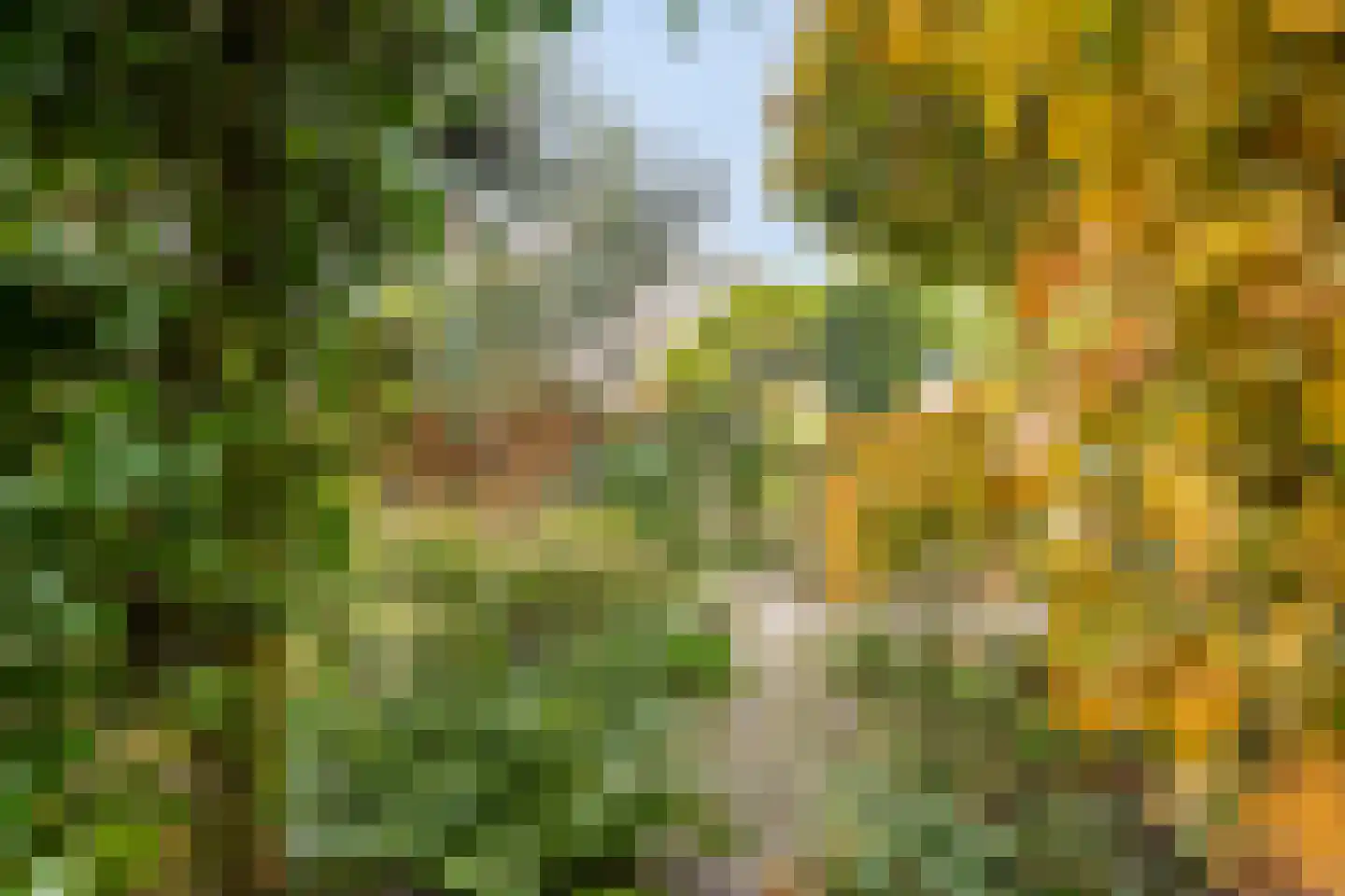 Fuut 12 Schagen thumbnail 39