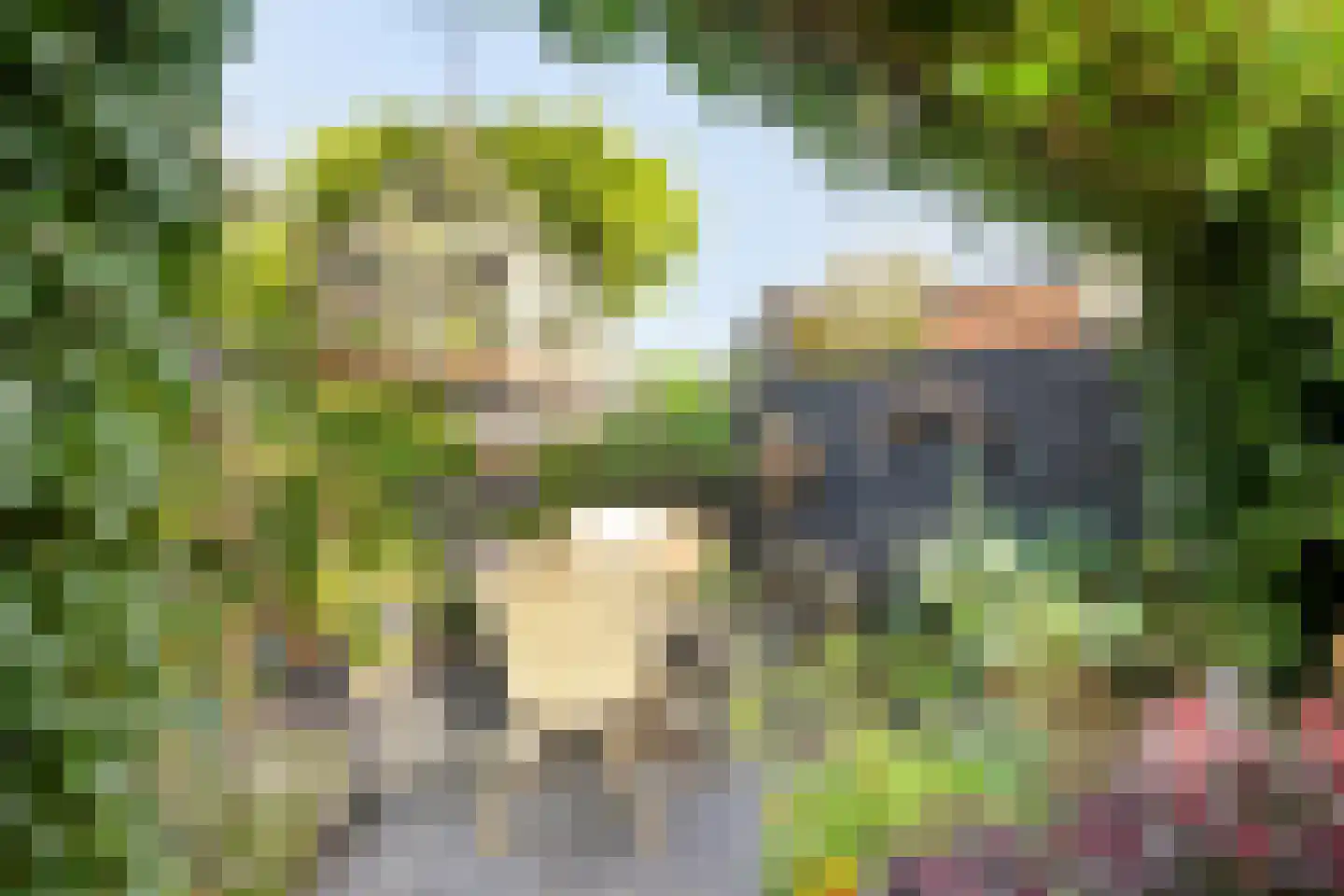 Fuut 12 Schagen thumbnail 41