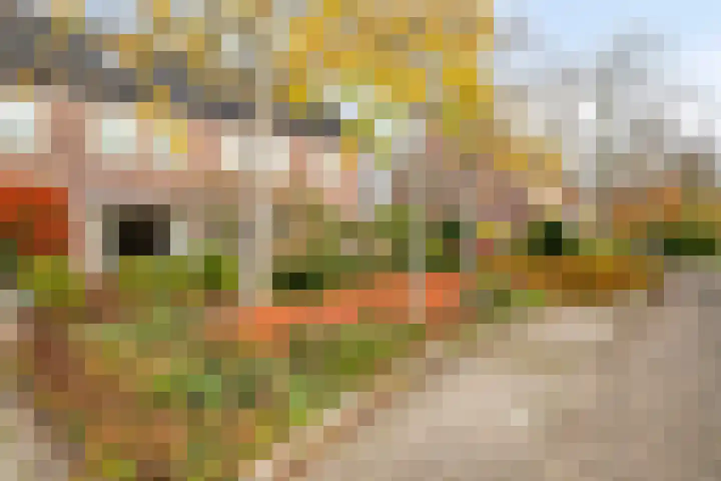 Fuut 12 Schagen thumbnail 6