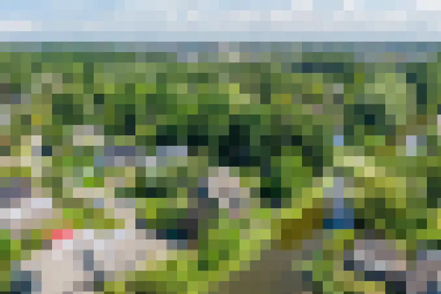 Fuut 14 Broek op Langedijk foto 3