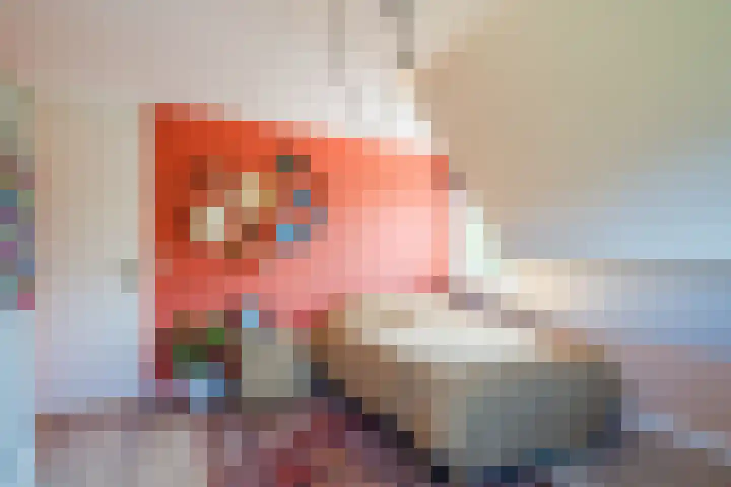 Fuut 14 Broek op Langedijk thumbnail 32