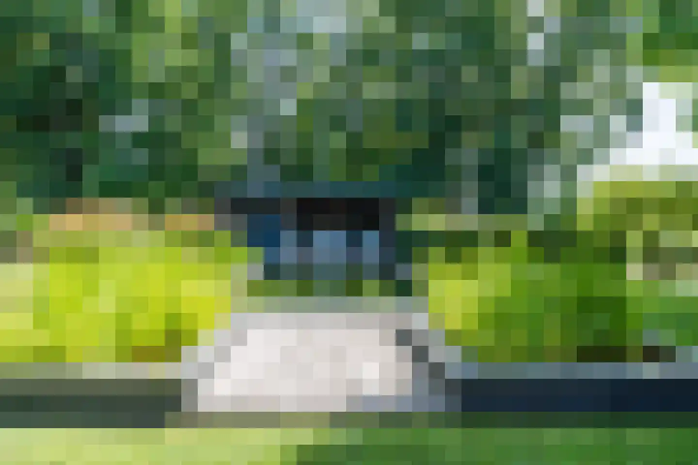 Fuut 14 Broek op Langedijk thumbnail 4