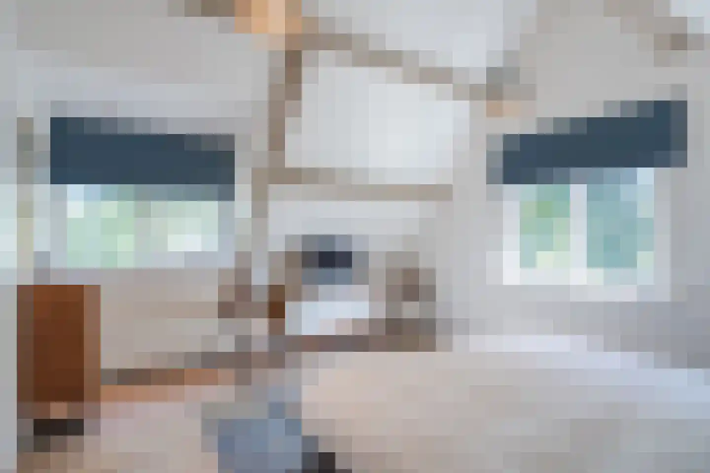Fuut 14 Broek op Langedijk thumbnail 45