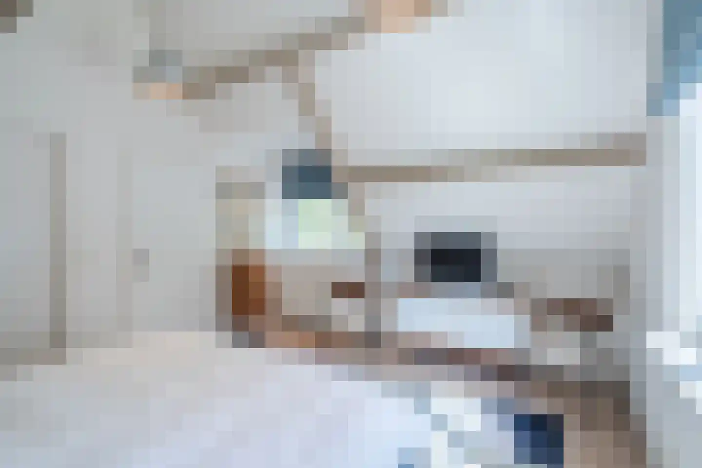 Fuut 14 Broek op Langedijk thumbnail 46