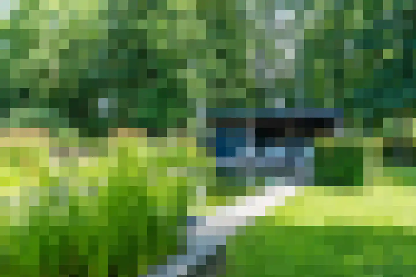 Fuut 14 Broek op Langedijk thumbnail 56