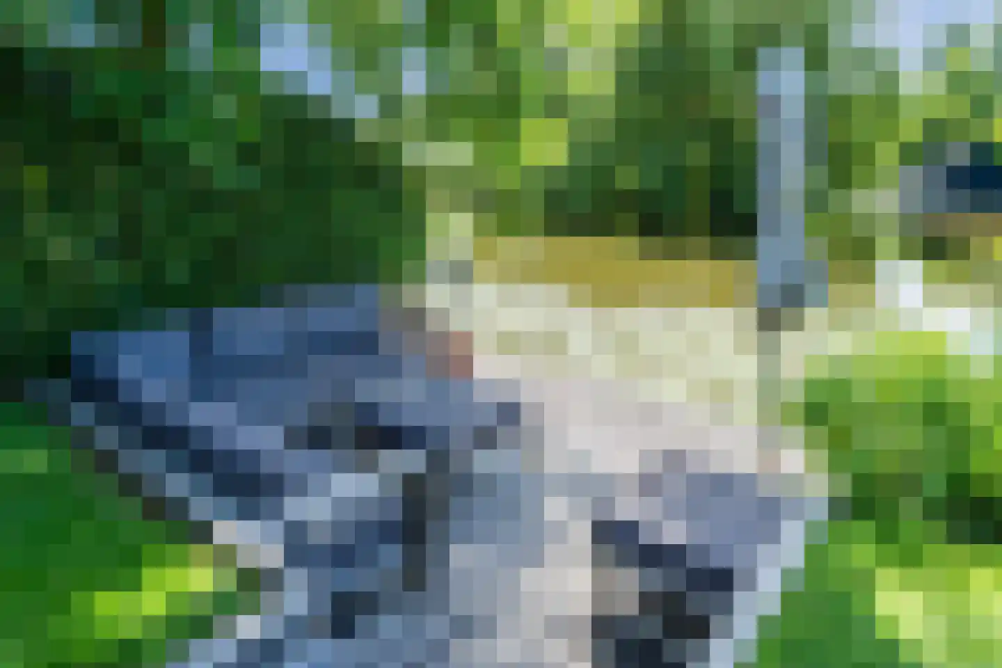 Fuut 14 Broek op Langedijk thumbnail 64