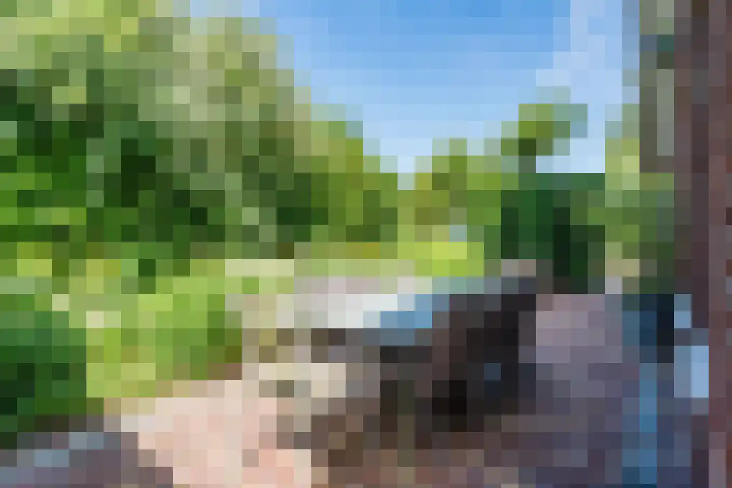 Fuut 14 Broek op Langedijk thumbnail 66