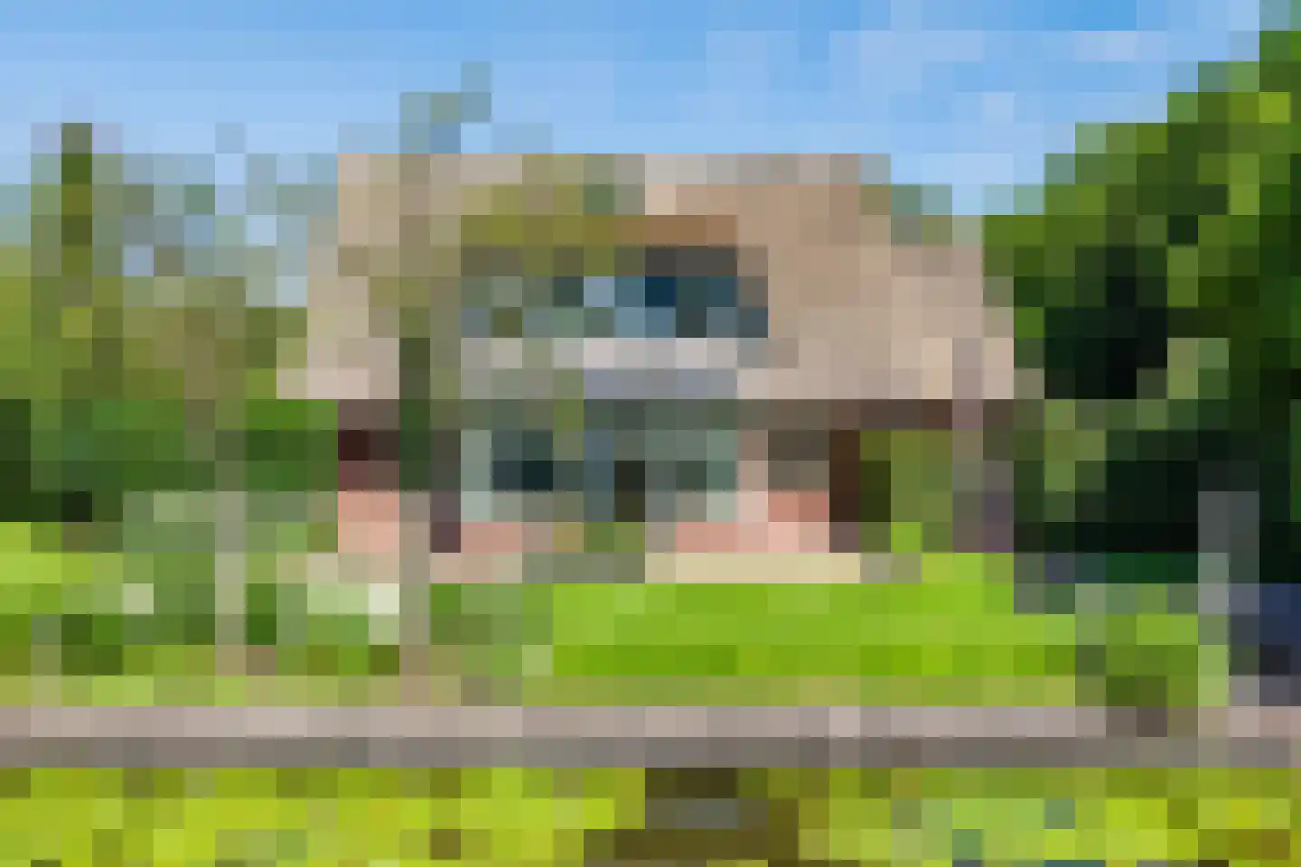 Fuut 14 Broek op Langedijk thumbnail 73
