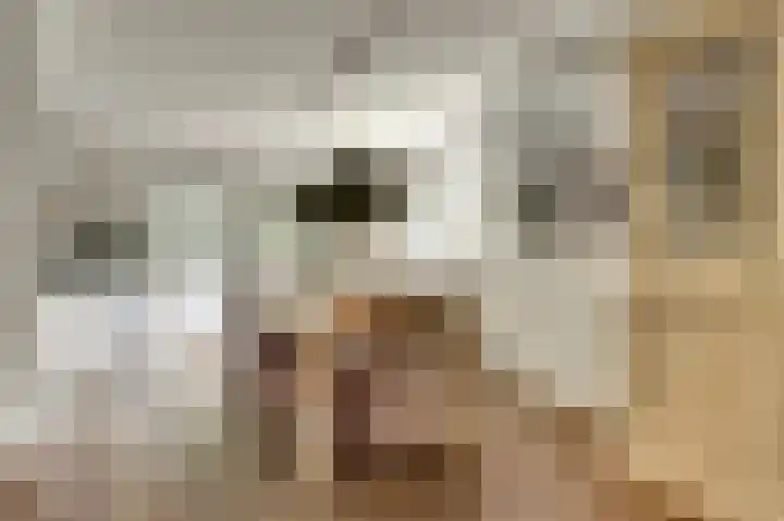Fuut 17 Broek op Langedijk thumbnail 10
