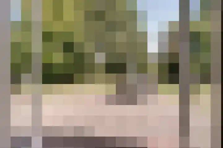 Fuut 17 Broek op Langedijk thumbnail 11
