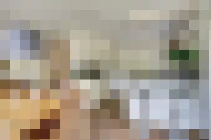 Fuut 17 Broek op Langedijk thumbnail 13