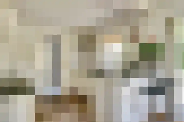 Fuut 17 Broek op Langedijk thumbnail 14