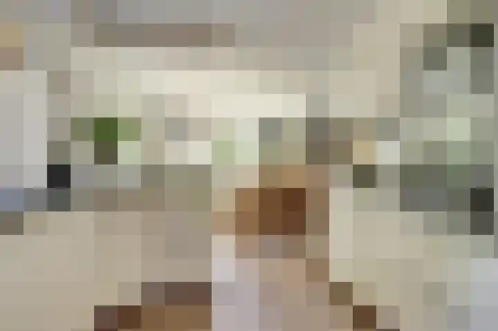 Fuut 17 Broek op Langedijk thumbnail 15