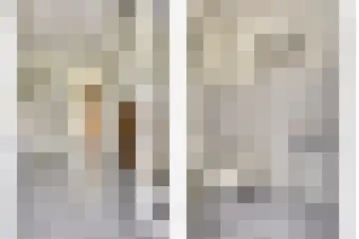 Fuut 17 Broek op Langedijk thumbnail 18