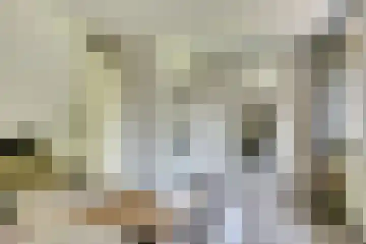 Fuut 17 Broek op Langedijk thumbnail 20