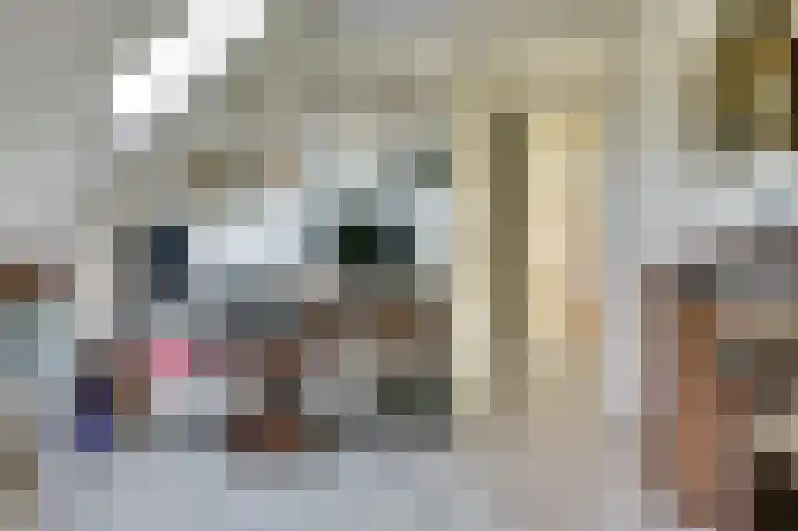 Fuut 17 Broek op Langedijk thumbnail 24