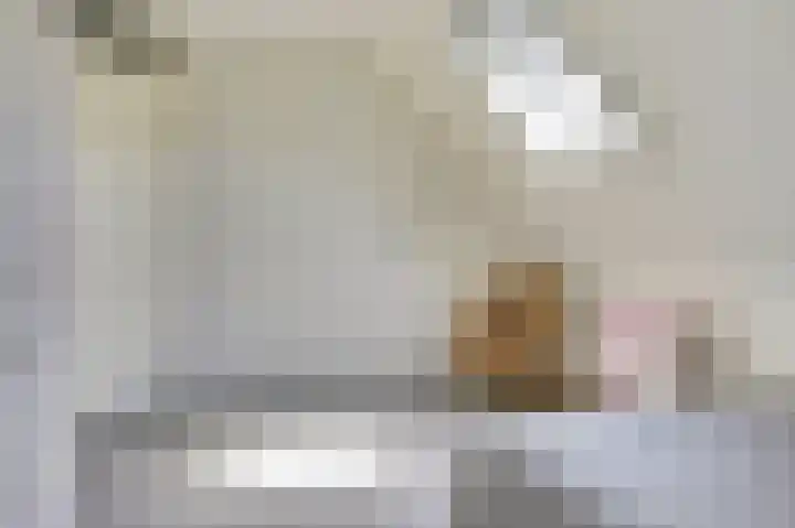 Fuut 17 Broek op Langedijk thumbnail 26