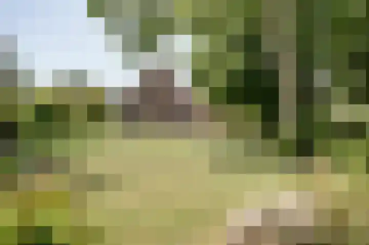 Fuut 17 Broek op Langedijk foto 3