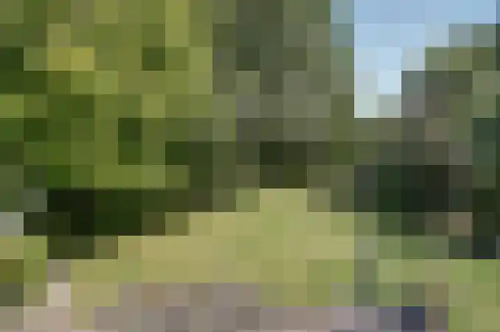 Fuut 17 Broek op Langedijk thumbnail 30