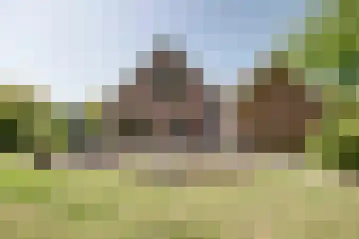 Fuut 17 Broek op Langedijk thumbnail 31