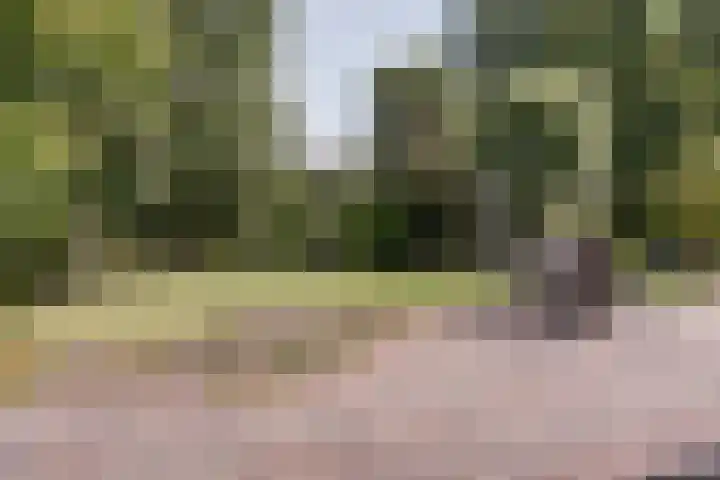 Fuut 17 Broek op Langedijk thumbnail 33